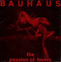Bauhaus : Passion of Lovers